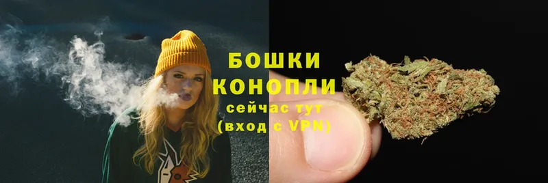 Бошки Шишки OG Kush  KRAKEN маркетплейс  Сортавала 